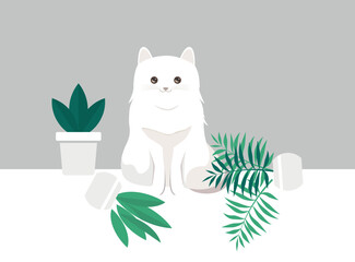 cute kitten sits near potted plants. the white cat dropped the pots of flowers.	