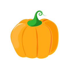 Orange pumpkin on a white background. Flat. Stylized pumpkin for decoration.