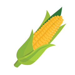 Cartoon corn. Farm vegetable. Healthy food. Vegan food. Vegetarian food. Corn icon.