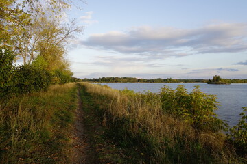 autumn landscape with a river