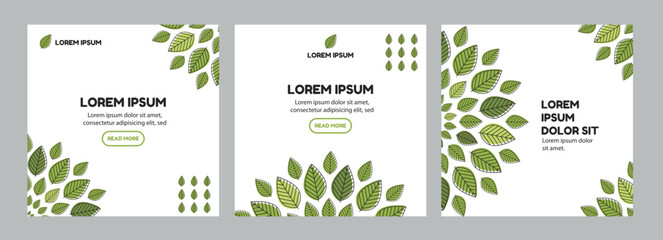 Abstract square templates with leaves.  
Vector illustration. 