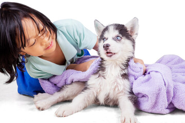 Little girl wiping her wet dog with towel on studio