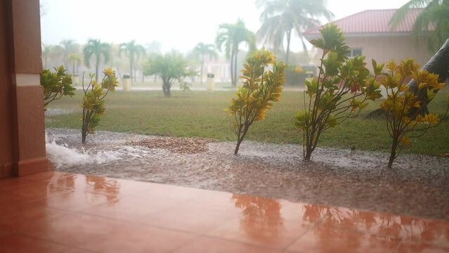 Heavy rain in front yard and landscape nature garden background , windy