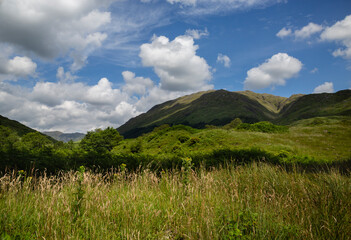 Fototapeta premium View of the green grassy fields and mountains of Glenfinnan in summer. Scottish Highlands