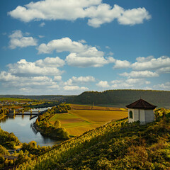 Naklejka premium Wine experience in the lower Neckar valley