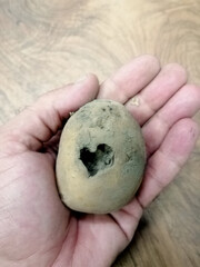 Amore per la terra patata con cuore