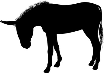Donkey Animal Silhouette