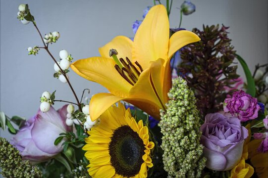 Timelapseoflilybloomingwithsunflower