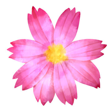 秋の花 Images Browse 11 067 Stock Photos Vectors And Video Adobe Stock