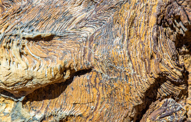 The texture of the stone.