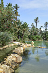 Fototapeta na wymiar lot of trees and palms in paradise park