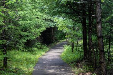 The natural scenery of Luya Mountain