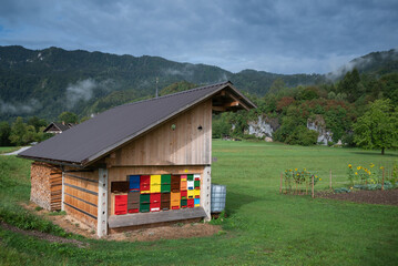 Modern beekeeping culture: A Slovenian colorful Bee House,