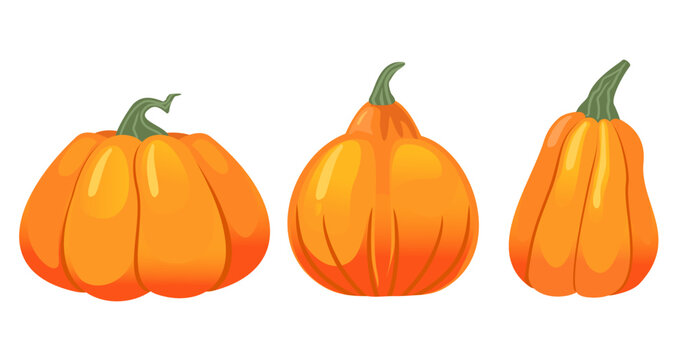orange pumpkins set isolated on a white background. Autumn halloween pumpkin, vegetable graphic icon or print.