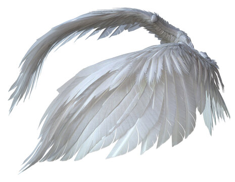 3D Rendered White Fantasy Angel Wings Isolated On Transparent Background - 3D Illustration