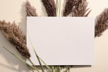 Blank white paper A4 with pampas grass on grey grainy background. Flat lay, top view photo. Dried grass decoration mockup on desk. Minimal, stylish, trend concept.