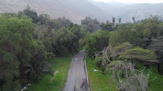 Drone video of a street that goes through a forested area with many trees. Drone flies over a parked car and raises altitude over treetops. Andes mountains in the background.