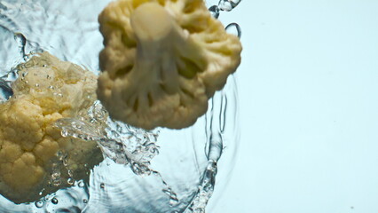 Pieces cauliflower dropped water on white background close up. Vitamin cabbage.