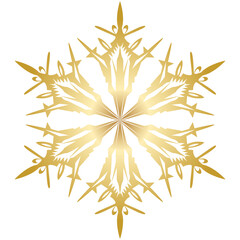 Obraz premium Snowflake