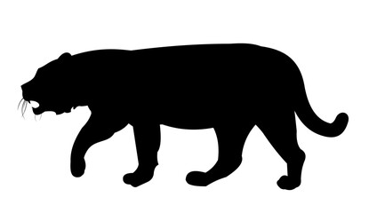 Lion unhappy. Predator Wild animals. Silhouette figures. Isolated on white background. Vector.