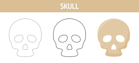 Skull tracing and coloring worksheet for kids