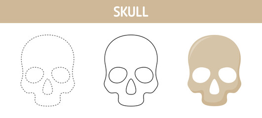 Skull tracing and coloring worksheet for kids