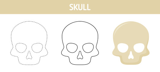 Skull tracing and coloring worksheet for kids
