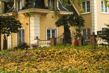 Beautiful cloudy morning, old bench covered with fall leaves and autumn trees in the Futoški park in Novi Sad Serbia