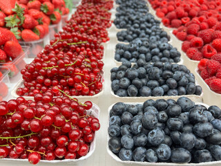 blueberries and currant fruits in boxes at market