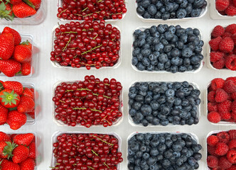 blueberries and currant fruits in boxes at market