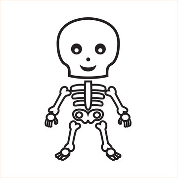 Cute cartoon style skeleton illustration