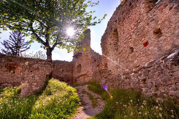 Ancient mediaeval wall ruins of Castle Burgruine Hohenfreyberg with sun shining against a tree with lens flare on a beautiful summer day in Eisenberg Bavaria Germany