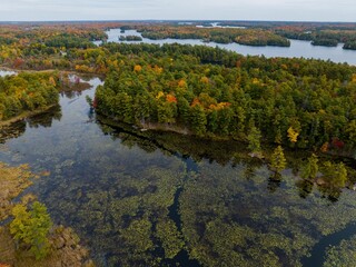 landscape with lake fall