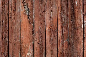 Old wooden texture. Plank panel.