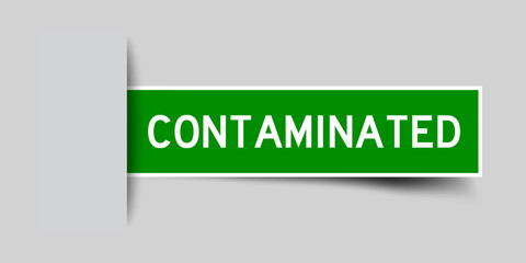 Inserted green color label sticker with word contaminated on gray background