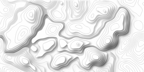 Fototapeta premium Topographic map background. silver line topography maount map contour background, geographic grid. Abstract vector illustration. 