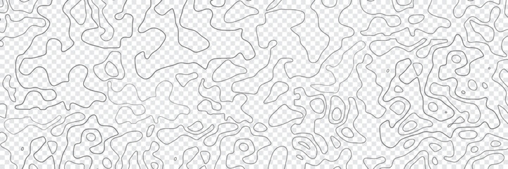 Background of the topographic map. Transparent topographic map lines, contour background panorama vies. vector illustration.
