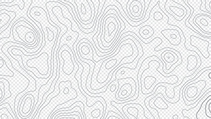 The stylized height of the topographic map contour in lines and contours isolated on transparent - obrazy, fototapety, plakaty