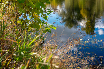 Autumn dry grass against the background of a blue river.