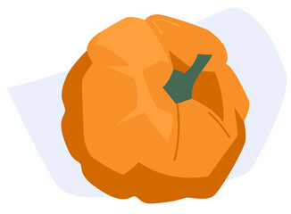 Pumpkin. Autumn vegetables. PNG image.