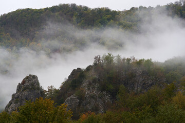 Fototapeta na wymiar Mountain forest in the mist