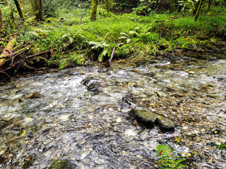 River Lyd - Lydford Gorge, Dartmoor National Park, Devon, United Kingdom