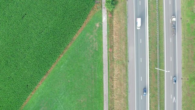 Aerial Drone Footage: Long Haul Semi Trucks Driving on the Busy Highway in the Rural Region of Italy. Agricultural Crop Fields and Hills in the Background. High quality 4k footage