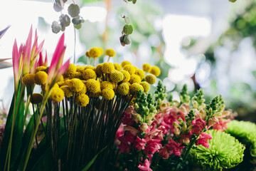 Flowers and plants in florist shop