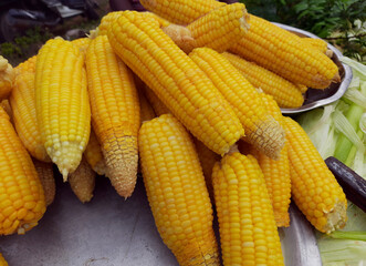 Sweet boiled corn, organic healthy snack, food on the street food stall, farmers market.