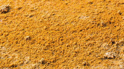 Surface d'un marais salant asséché et dépôt de sel coloré en orange pour arrière-plan