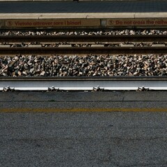 Passeggiando ed osservando la mia città