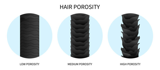 moisturization sinks drop hair porosity test for dryness thinning hydration - obrazy, fototapety, plakaty