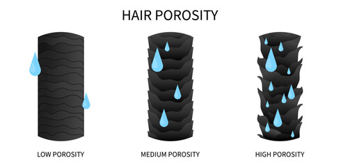 hydration of hair thinning or moisturization sinks drop porosity test for dryness - obrazy, fototapety, plakaty