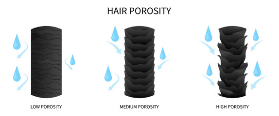 hair porosity test for dryness drop sinks thinning hydration moisturization - obrazy, fototapety, plakaty